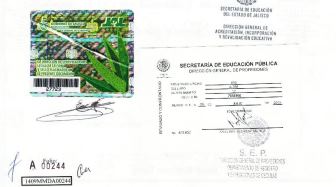 Título de Grado Maestría contraportada.